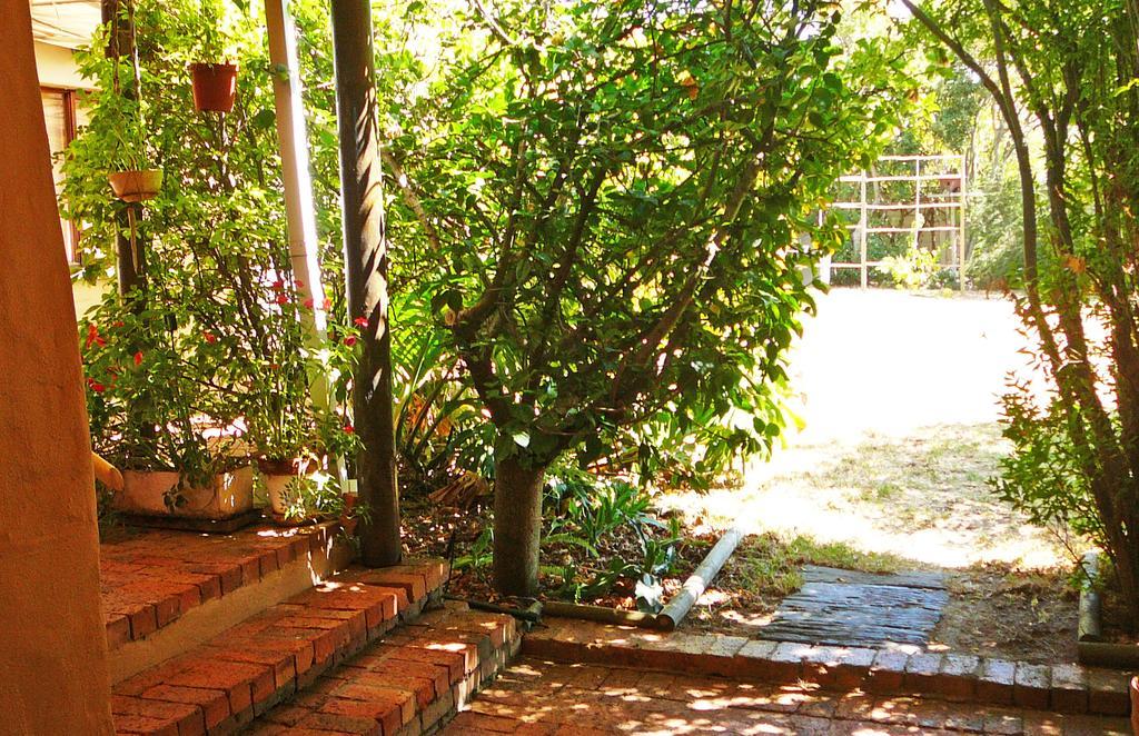 Vineyards Country Home Guest Room Blomtuin Εξωτερικό φωτογραφία